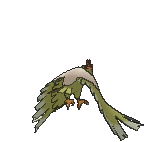Fearow Shiny back