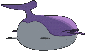 wailord sprite 66