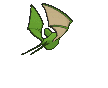 Zubat Shiny back