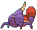 Crabrawler Shiny back