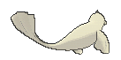 dewgong sprite 121