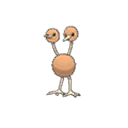 doduo