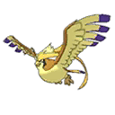 pidgeot mega