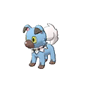 rockruff own-tempo