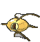 Magikarp Shiny