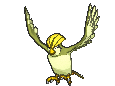 pidgeotto sprite 123