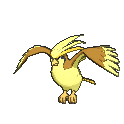 pidgeot sprite 129