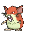 Raticate Shiny