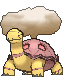 torkoal sprite 78