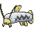Barboach Shiny