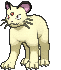 Persian Shiny