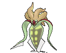 Malamar Shiny
