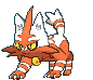 Torracat Shiny