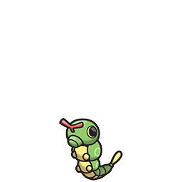 caterpie