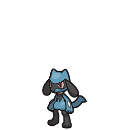 riolu