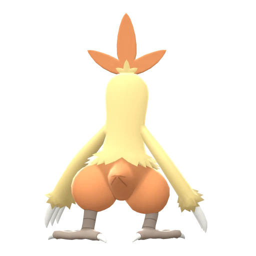 combusken sprite 150
