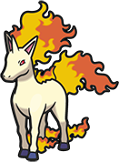 rapidash sprite 136