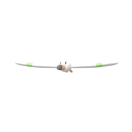 wingull sprite 82