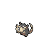 raticate alola
