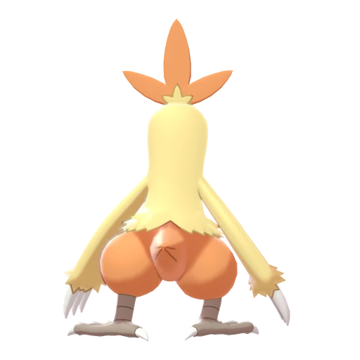 combusken sprite 141