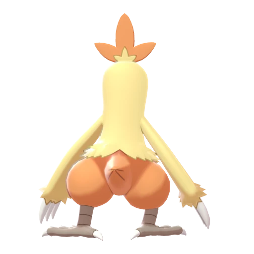combusken sprite 139