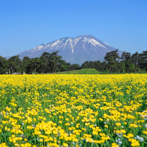 Iwate (岩手県) Location Background