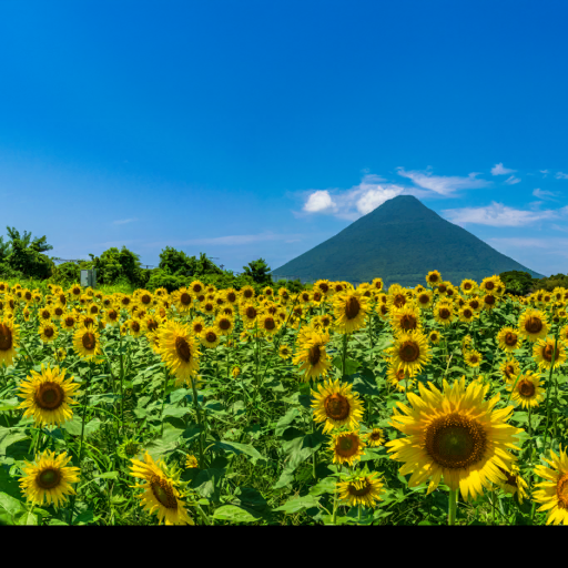 Kagošima (鹿児島県) Location Background