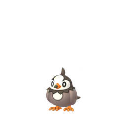 찌르꼬