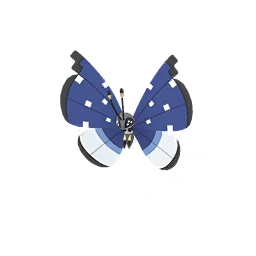 극지의 모양