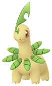 Shadow Bayleef