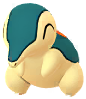 Cyndaquil