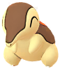 Shiny Cyndaquil