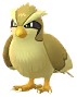 Shiny Pidgey