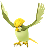 Shiny Pidgeotto