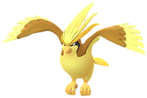 Shiny Pidgeot