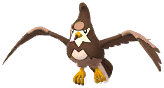 Shiny Staravia
