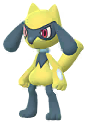 Shiny Riolu