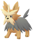 Shiny Herdier