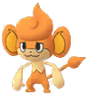 Shiny Pansear