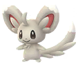 Minccino