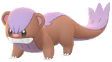 Shiny Yungoos