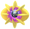 Shiny Cosmoem