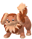 Shiny Dachsbun