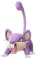 rattata