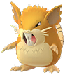 raticate