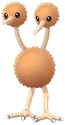 doduo