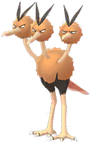 dodrio