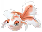 goldeen