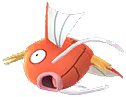 magikarp
