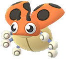 ledyba